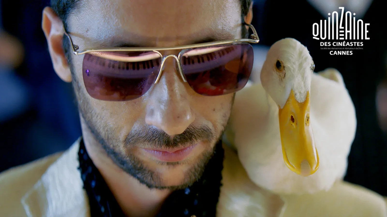 YesLes films du losange
